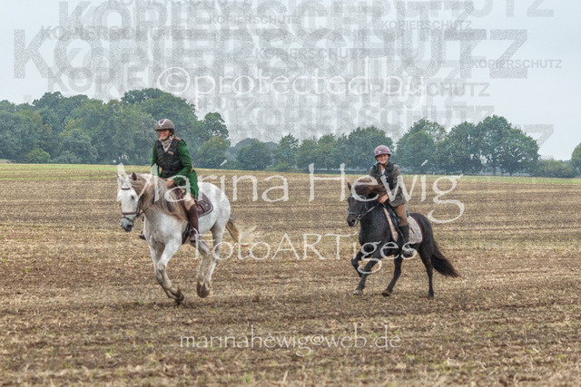 Jagd Perdoel_MarinaHewigMCH04196 | Fotografie, FotoArt, PferdesportArt, Pferdesportfotografie, Landschaftsfotografie, Reisefotografie, Reise, Pferde - Realisiert mit Pictrs.com