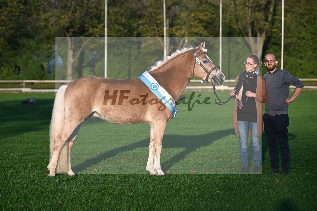 Kat-Nr. 6 Solero-D_Mahlknecht_44241169 | hf-fotografie - Realisiert mit Pictrs.com