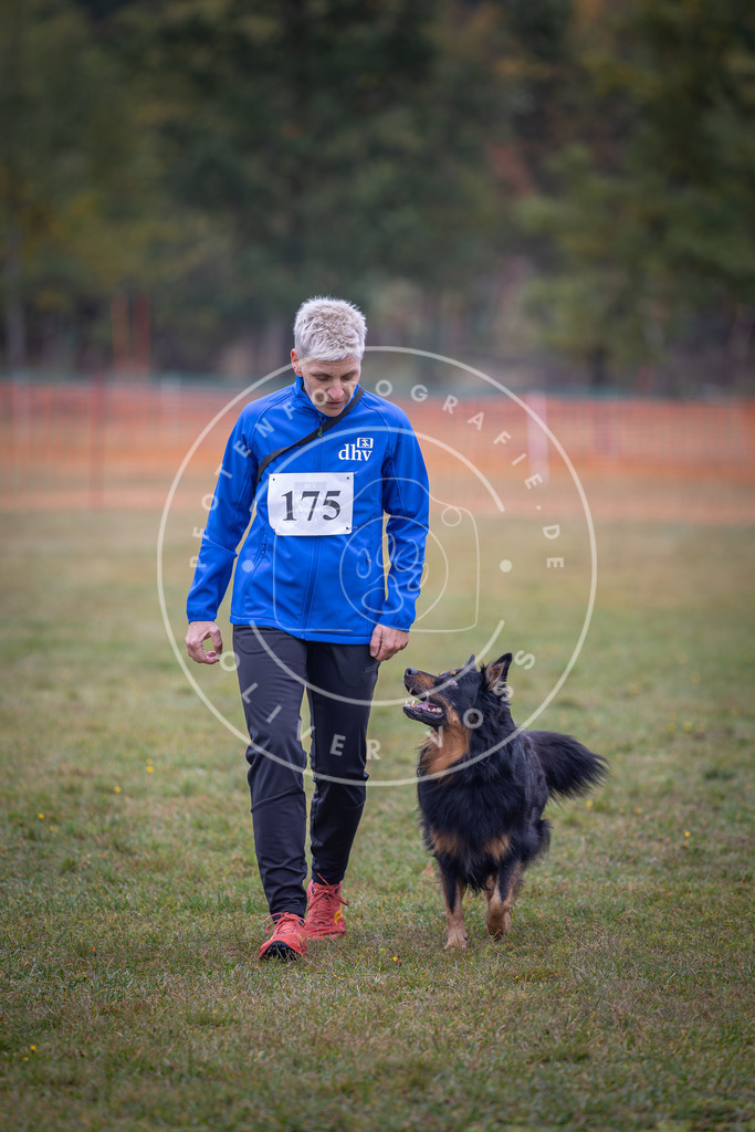 Pfotenfotografie_DV3A9308 | Hundefotografie, Tierfotograf, Pfotenfotografie, Fotoshooting Hund, Hunde Portrait, Hundesport, Hundeportraits, Heideshooting, Hunde, Sportfotograf, Hundefotograf, Turnierhundsport, THS,  - Realisiert mit Pictrs.com