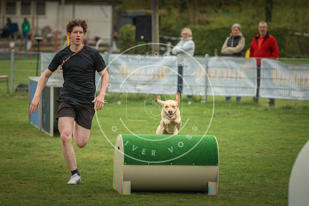 Pfotenfotografie_0L8A1403 | Hundefotografie, Tierfotograf, Pfotenfotografie, Fotoshooting Hund, Hunde Portrait, Hundesport, Hundeportraits, Heideshooting, Hunde, Sportfotograf, Hundefotograf, Turnierhundsport, THS,  - Realisiert mit Pictrs.com