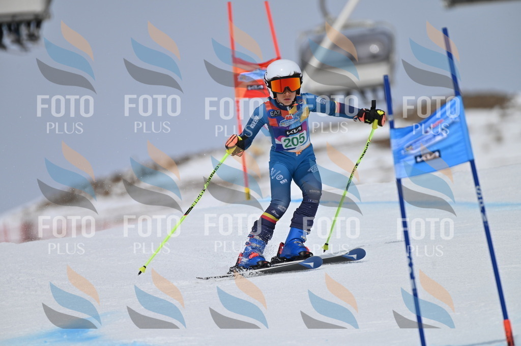 BGV_3946 | holidayphoto