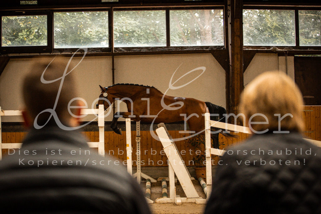 2FS_L00131 | Leoni Ertmer Photography - Realisiert mit Pictrs.com