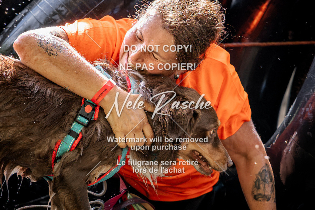 nelerasche_Hunsrück2026_Sa1400-1500_238 | nelerasche