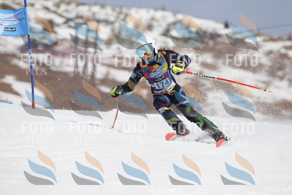 _U3G1616 | holidayphoto