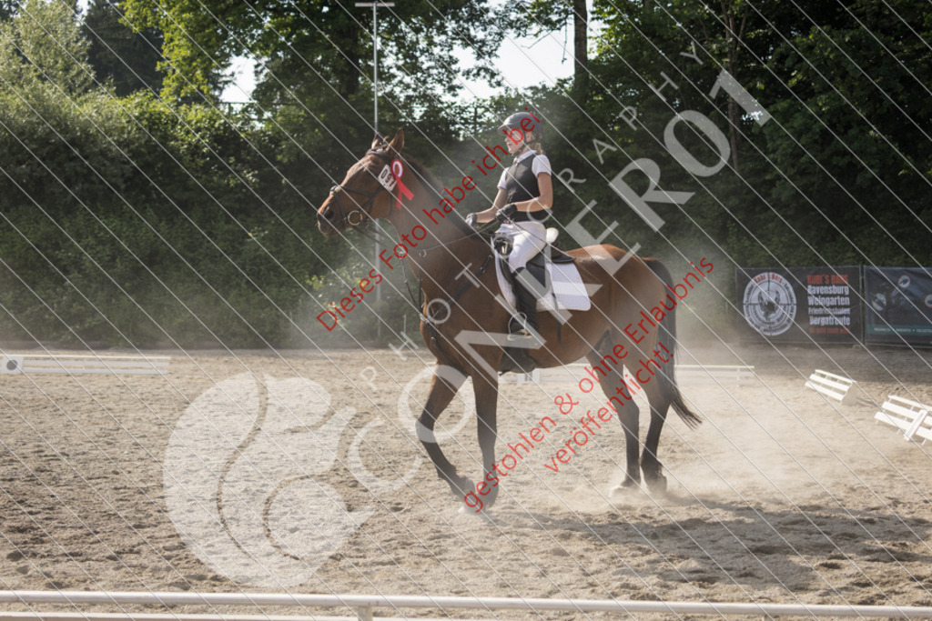 IMG_6152 | Sport-, Event- und Tierfotos in Profiqualität. Einfach auswählen, bestellen und herunterladen. Dein Moment – perfekt festgehalten.