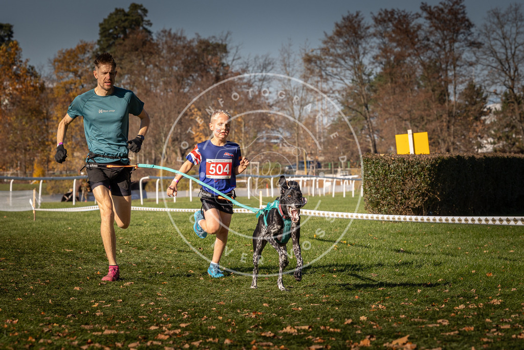 CaniXpix_0L8A6610 | Hundefotografie, Tierfotograf, Pfotenfotografie, Fotoshooting Hund, Hunde Portrait, Hundesport, Hundeportraits, Heideshooting, Hunde, Sportfotograf, Hundefotograf, Turnierhundsport, THS,  - Realisiert mit Pictrs.com