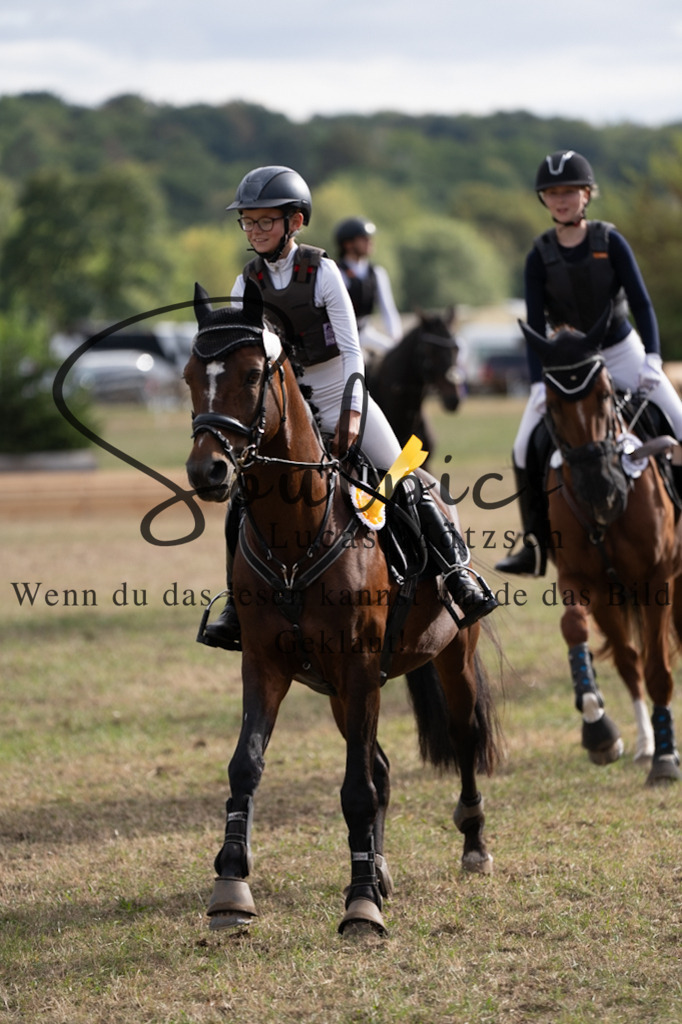 A7V01545 | Pferdefotograf