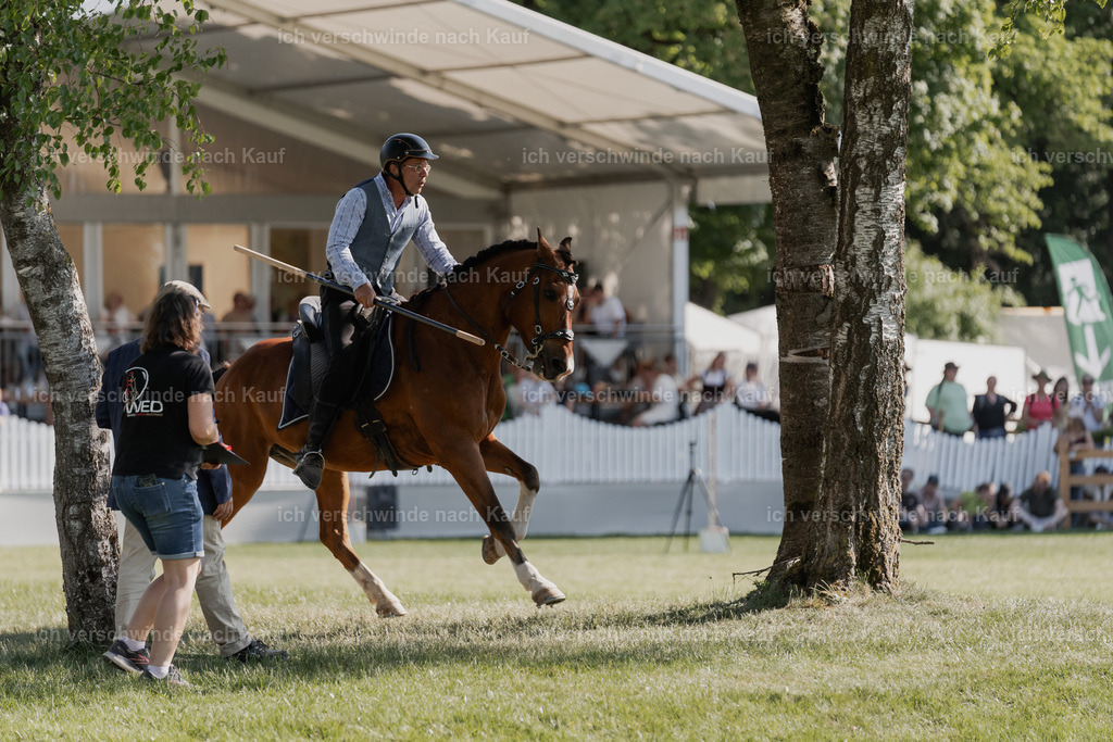 SIN01166 | Pferd International München 2025
