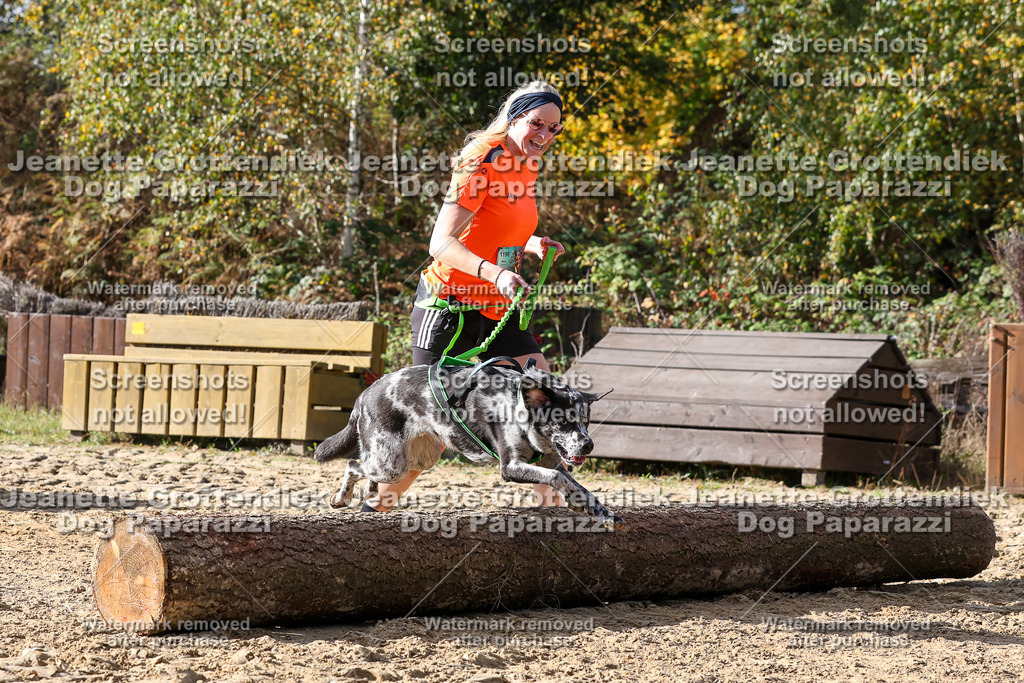 Dog Paparazzi - Strongdog 10-25-5743 | Dog Paparazzi Jeanette Grottendiek Fotografie & Videografie - Realisiert mit Pictrs.com