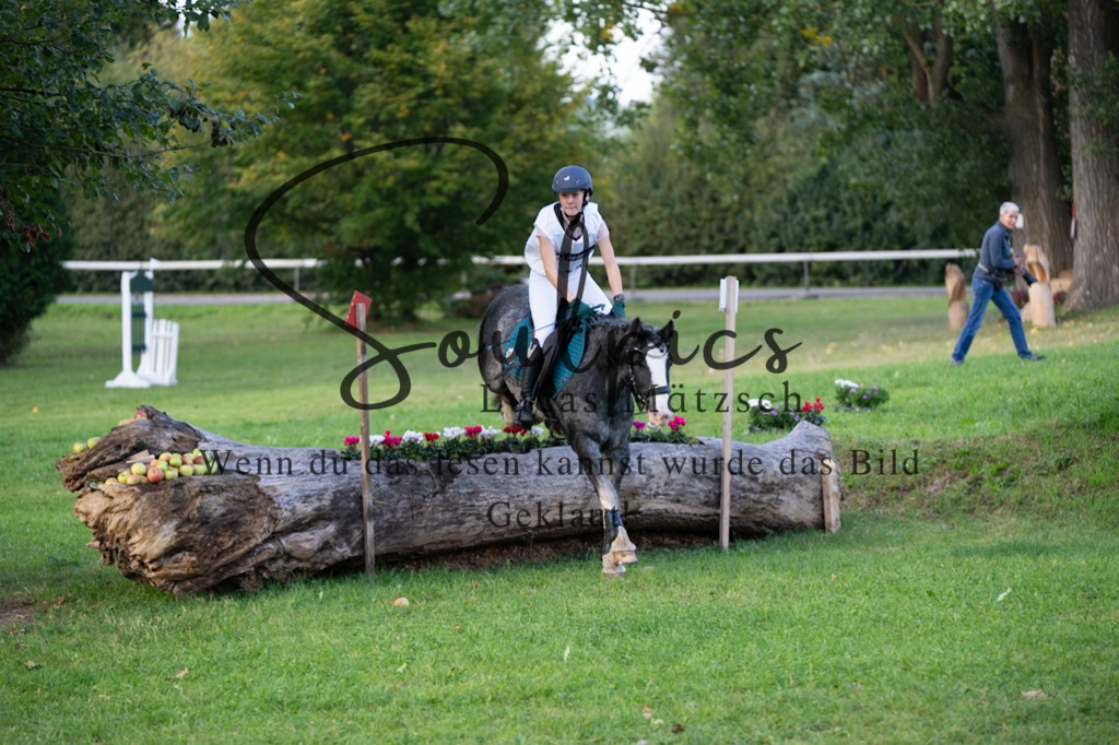 A7V03034 | Pferdefotograf