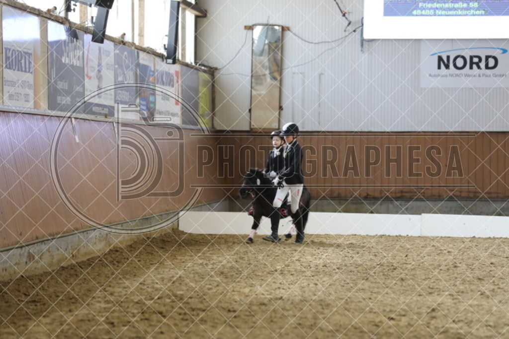 IMG_3379 | photographesa-joergens - Realisiert mit Pictrs.com