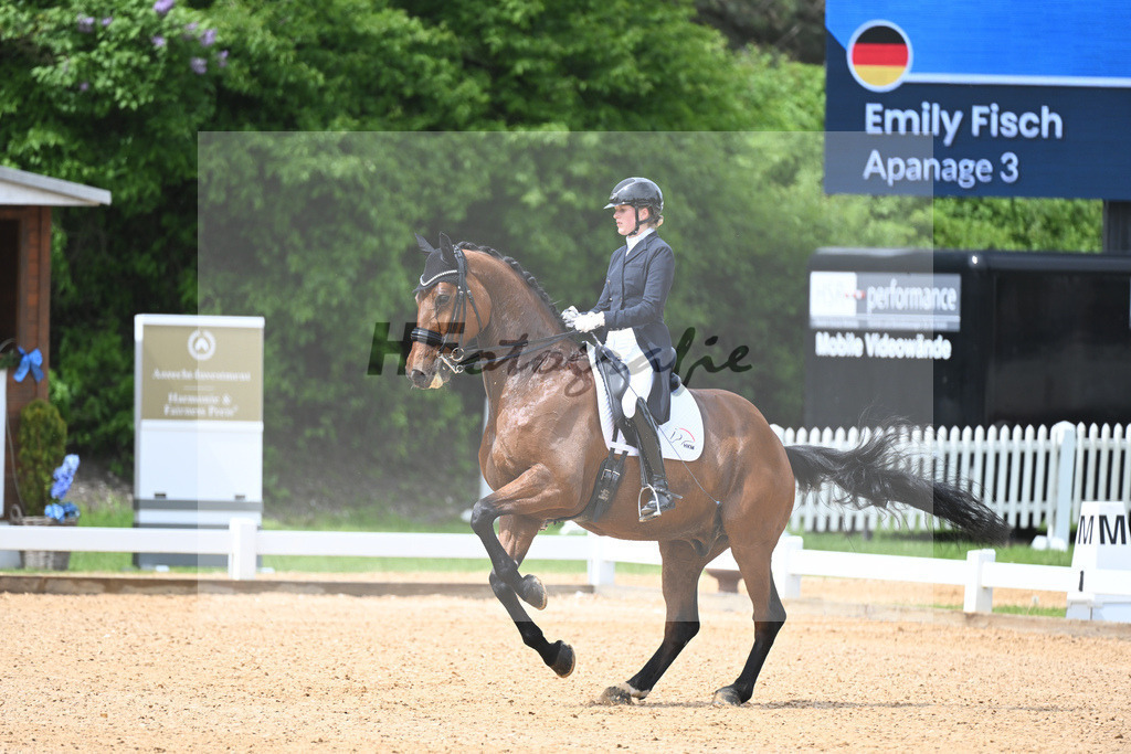 Fisch_Apanage_11233414 | hf-fotografie - Realisiert mit Pictrs.com