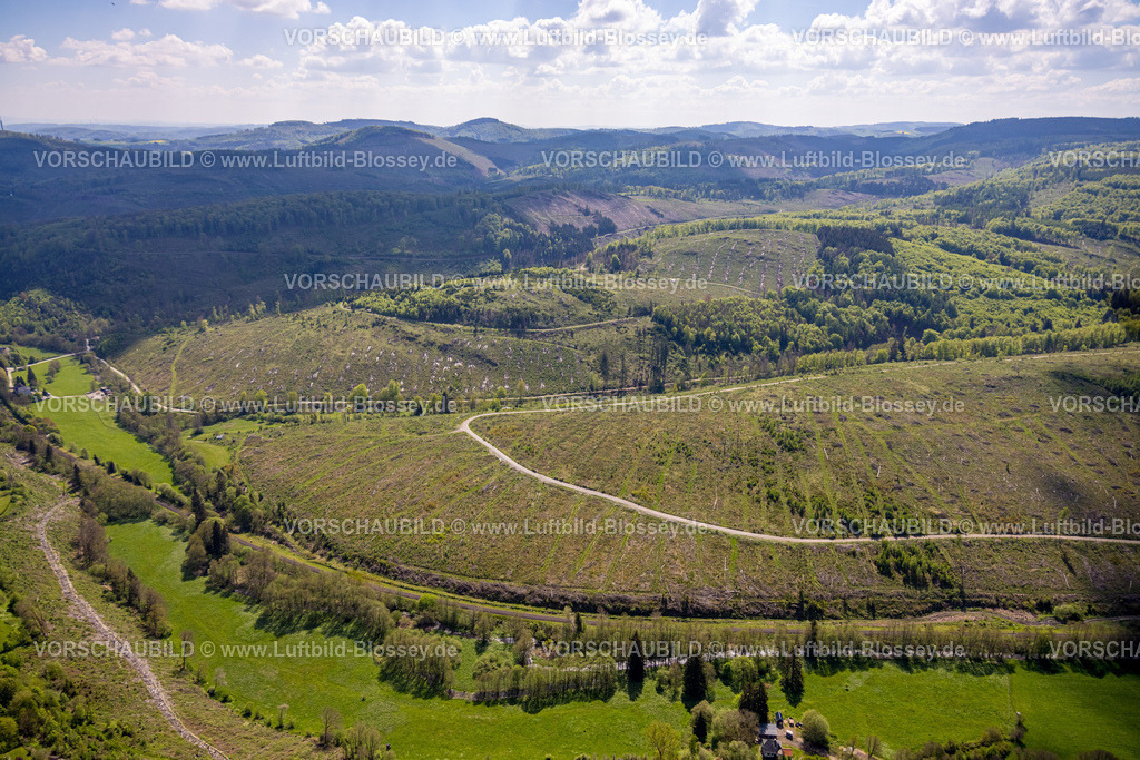 Brilon240503663 | Luftbild, Krake Waldgebiet mit Waldschäden Kalamitätsflächen, Fluss Hoppecke und Mittleres Hoppecketal Landschaftsschutzgebiet, Fernsicht mit Bergkette, Gudenhagen, Brilon, Sauerland, Nordrhein-Westfalen, Deutschland