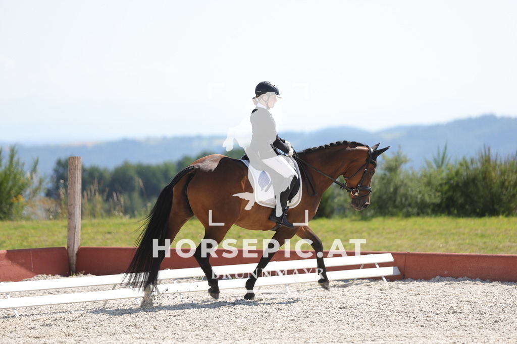 0P6A7678 | Willkommen bei Brunnmayr - Design & Fotografie – Ihrem Spezialisten für Reitturniere und Pferdeveranstaltungen in Oberösterreich, Salzburg und Bayern! Seit über 17 Jahren sind wir leidenschaftlich dabei.