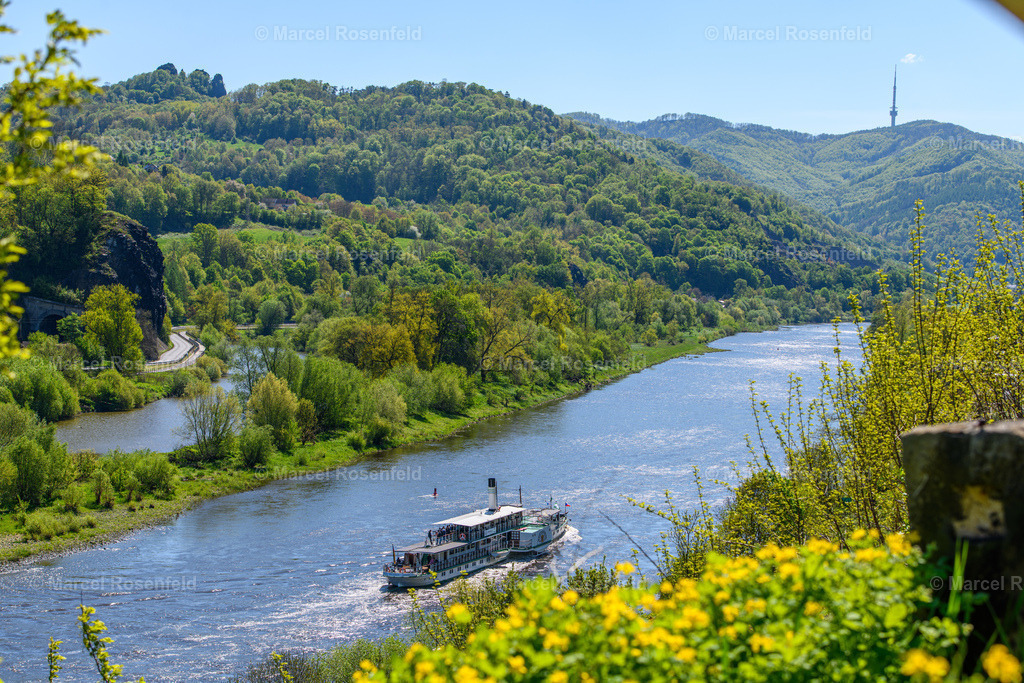 _DSC3829 | foto-rosenfeld