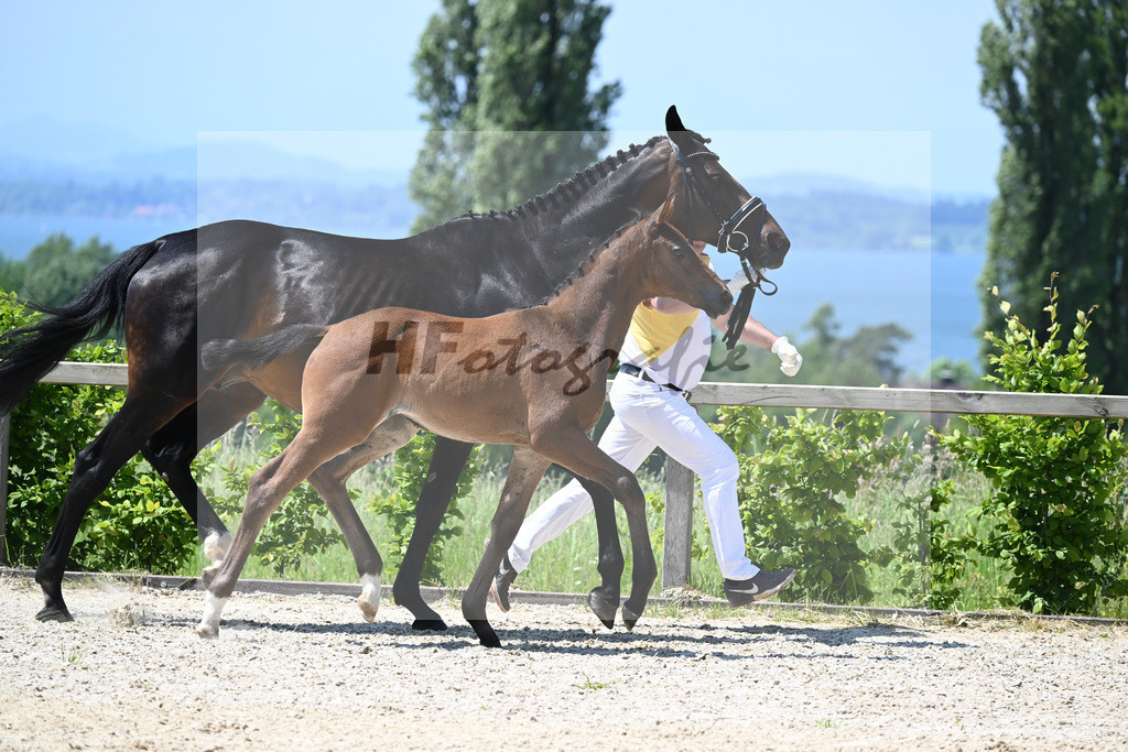 Kat-Nr. 6 SF Escolar_Knott_15230353 | hf-fotografie - Realizzato con Pictrs.com