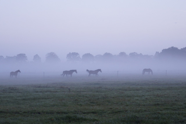 _DSC2075 | Outdoorpixl Teßen OHG - Realisiert mit Pictrs.com
