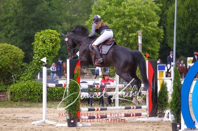 DKP42095 | Turniersportfotografie; Pferdefotografie; Dressurfotografie