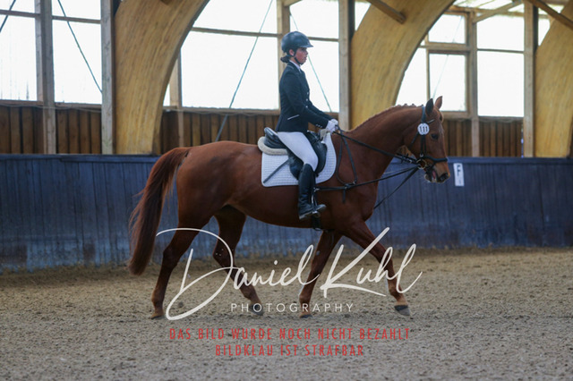 IMG_0811 | Turniersportfotografie; Pferdefotografie; Dressurfotografie