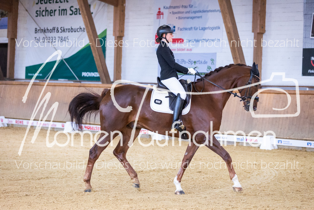 Sth-A-Dre-1St-048 | MomenTaufnahmen Pferdesportfotos