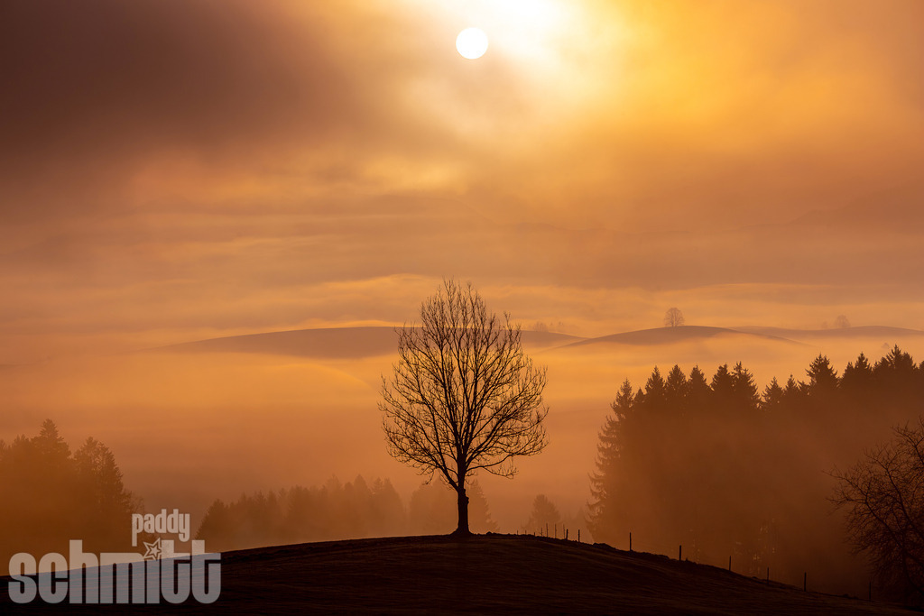 Mystischer Morgennebel bei Sonnenaufgang | Mystischer Morgennebel liegt über der Landschaft, während die aufgehende Sonne den Himmel in warme Farben taucht. Eine ruhige und stimmungsvolle Aufnahme, die den besonderen Zauber des frühen Morgens einfängt. - Realisiert mit Pictrs.com