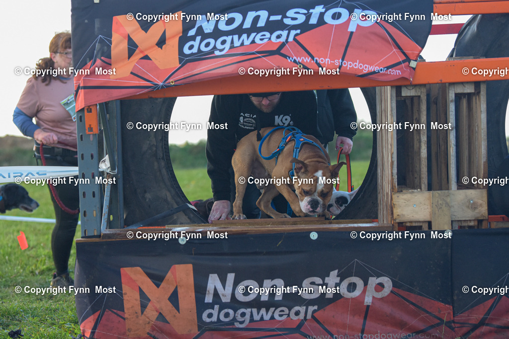 DSC_0417 | Hallo und herzlich Willkommen auf meiner Shop-Seite Fynn Most.

Ich wünsche Dir viel Spaß beim stöbern durch die Bilder, wenn Du Fragen hast oder Bilder vermisst, kannst du mir gerne eine Nachricht schreiben. - Realisiert mit Pictrs.com