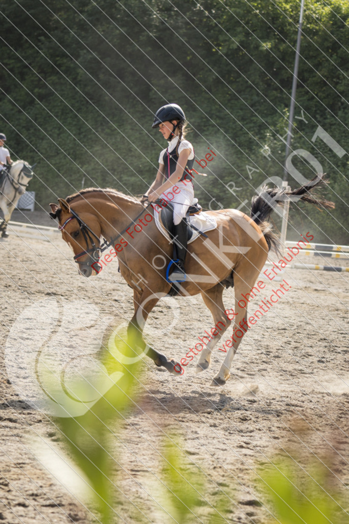 IMG_5835 | Sport-, Event- und Tierfotos in Profiqualität. Einfach auswählen, bestellen und herunterladen. Dein Moment – perfekt festgehalten.