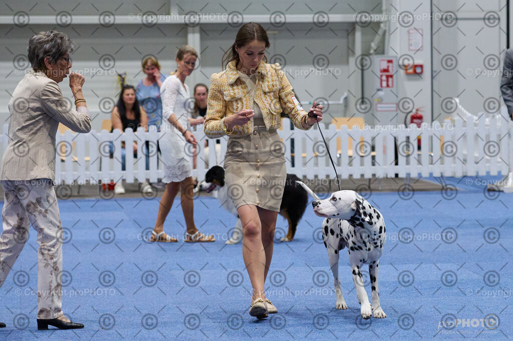 202406_ÖKV-IHA-Tulln24_DSC_3332 | proPHOTO - Realisiert mit Pictrs.com