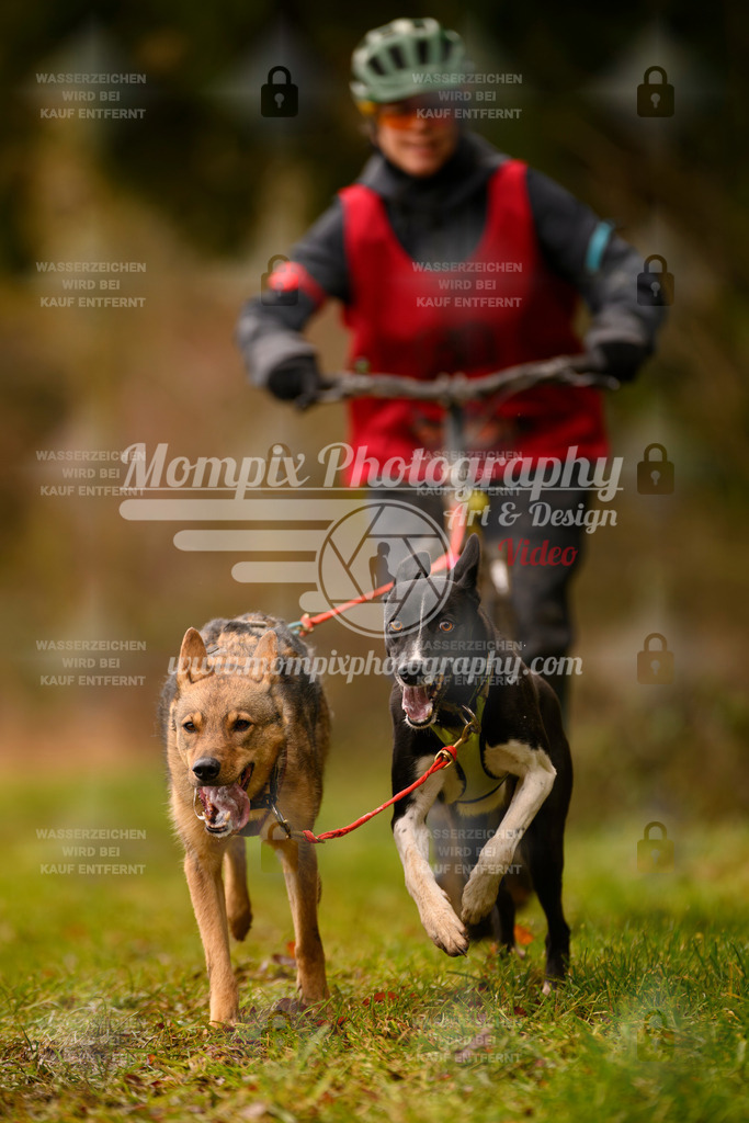 MompixPhotography_2SSTSSBW_2025_SO_Scooter-101 | PayLife