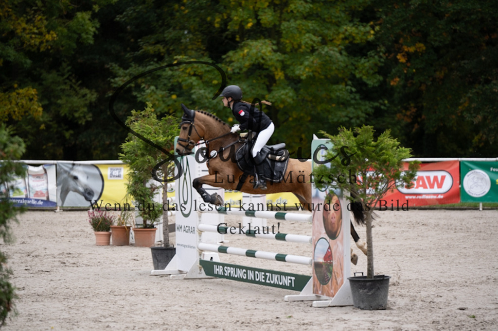 A7V00505 | Pferdefotograf