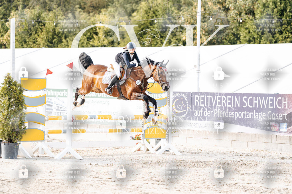 CK906866 | Turnierfotografie Pferdefotografie Trier Rheinland-Pfalz Pferdesport Reitsport Tierfotografie Sportfotografie Pferdevideo Pferdevideografie Equestrianvideography equestrianphotography  - Realisiert mit Pictrs.com