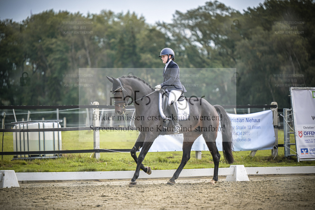 DOS_B239 | Entdecke hochwertige Reitturnierfotos von Foto Oger. Professionell, emotional und authentisch – jetzt Lieblingsmomente im Shop bestellen. - Realisiert mit Pictrs.com