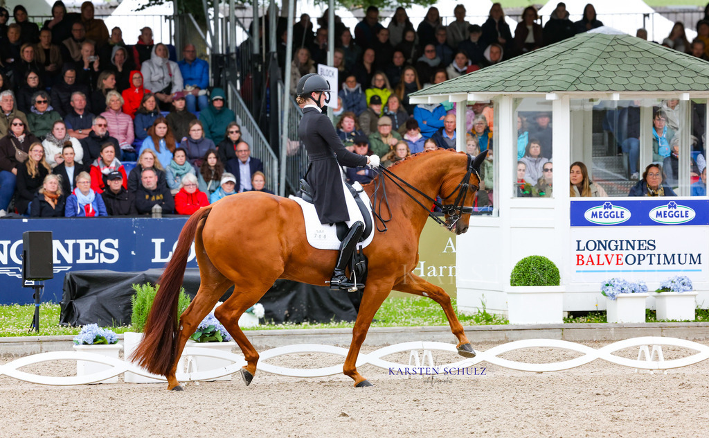1B3A8569 | Reitsport Reiten
