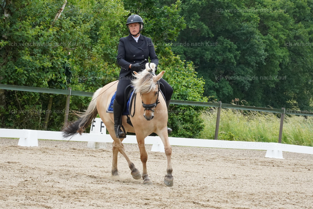 KlasseE_Lucie508 | working equitationturnier fotograf videograf stoibphotography marixx film working equitation deutschland reitsport turnierfotografie eventfotografie equestrian events