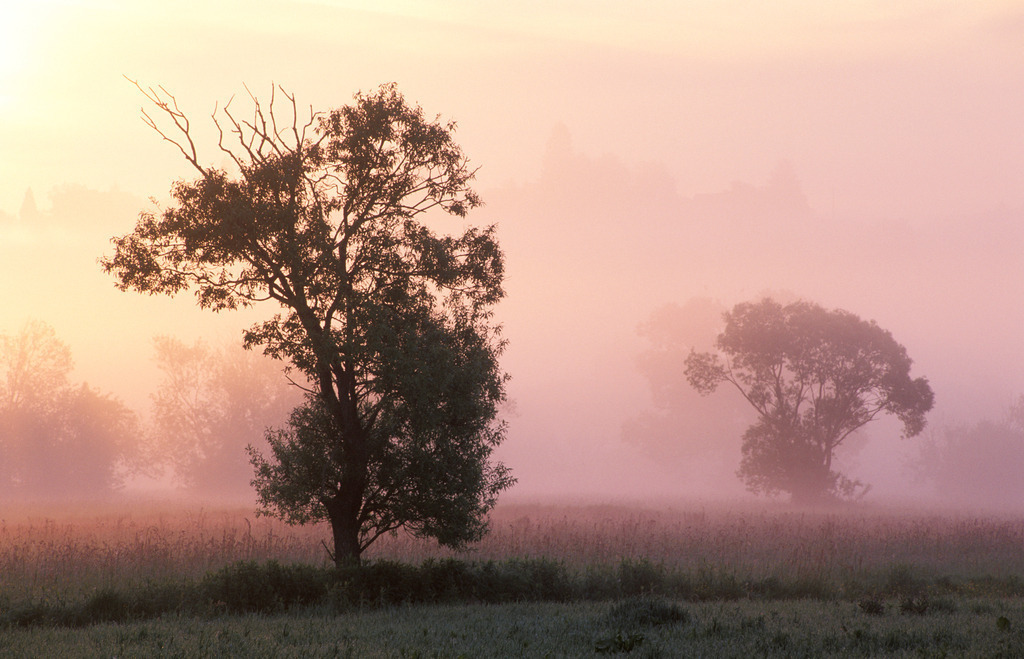 Sonnenaufgang im Lafnitztal | , Austria: Sonnenaufgang im Lafnitztal. - Realisiert mit Pictrs.com