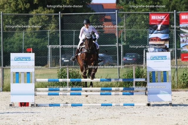 OHT 2022 Röhlingen (85) | Fotografie, Tiere, Hunde, Katzen, Pferde, Sportfotografie, Fotosession, Tierfotografie, Turnierfotografie, Fotografin, Fotograf - Realisiert mit Pictrs.com