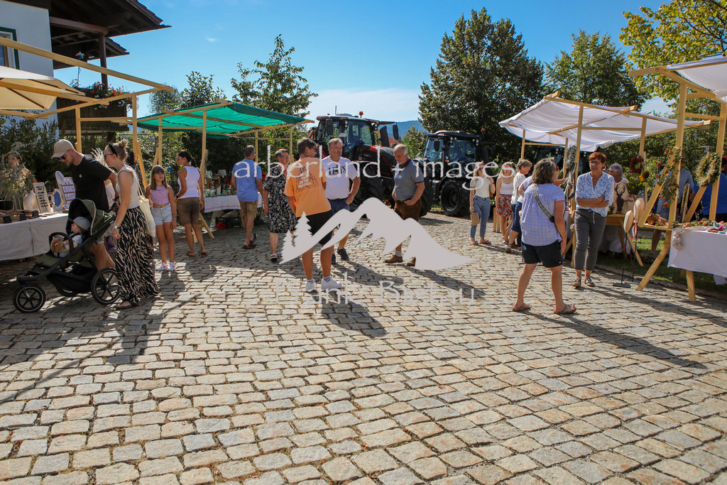 OE7A3953 | Medien- Sport- Entertainmentfotos