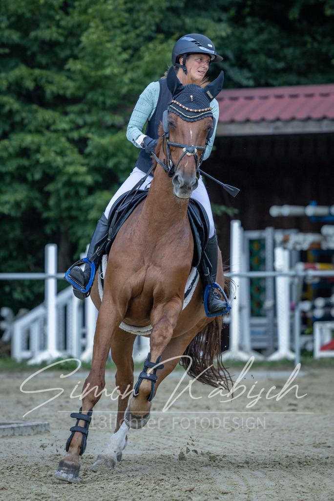 20260704-_3LI0228 | Tierfotografie Pferde, Hunde, Katzen, Haustiere.
Turnierfotografie Reitturniere, Reiten, Springreiten, Dressur in Hanau, dem Main-Kinzig-Kreis und dem Rhein-Main- Gebiet um Frankfurt