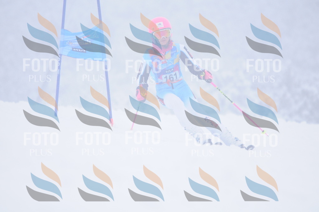 C1900 | holidayphoto