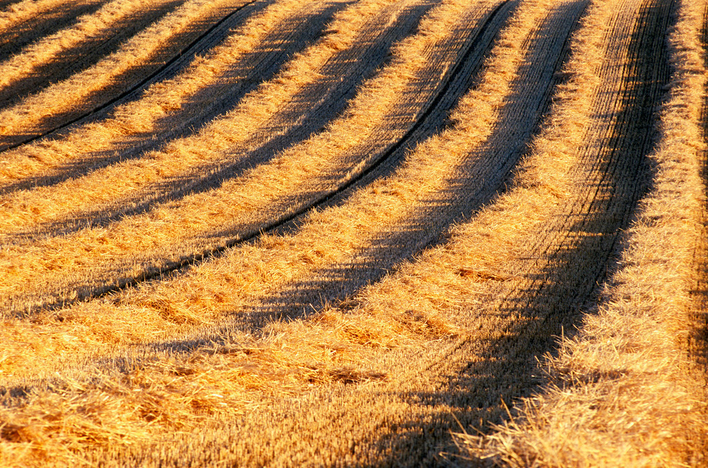 Ackerlandschaft | Austria - December 09, 2009: Ackerlandschaft. - Realisiert mit Pictrs.com