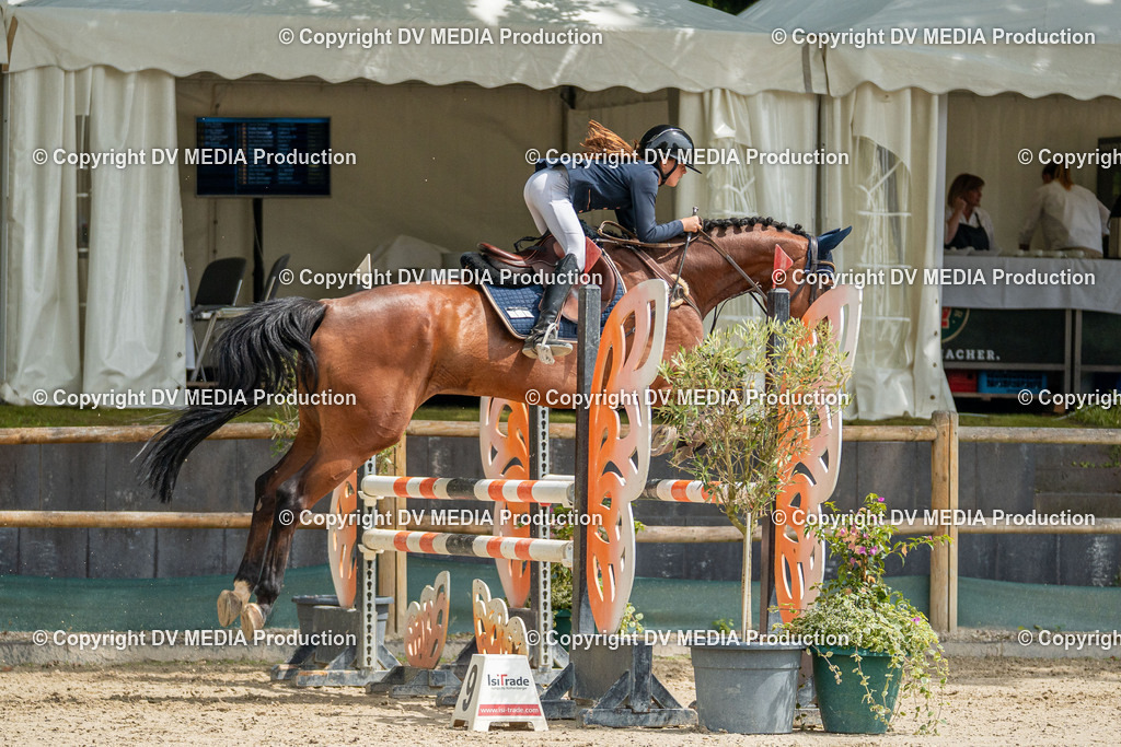 Hessische Tag 1-1327 | dv-media-shop - Realisiert mit Pictrs.com