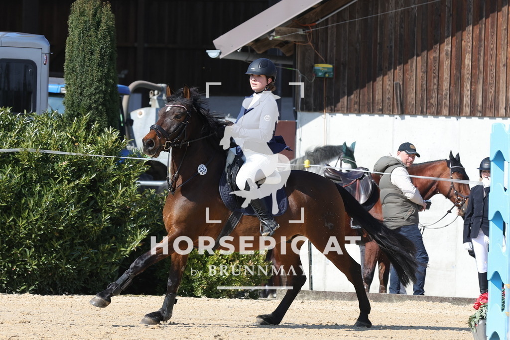 0P6A6488 | Willkommen bei Brunnmayr - Design & Fotografie – Ihrem Spezialisten für Reitturniere und Pferdeveranstaltungen in Oberösterreich, Salzburg und Bayern! Seit über 17 Jahren sind wir leidenschaftlich dabei.