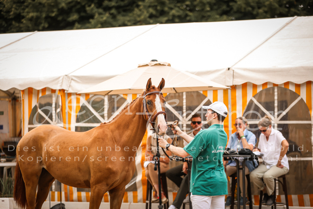 05.So00033 | Leoni Ertmer Photography - Realisiert mit Pictrs.com