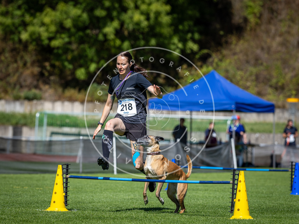 Pfotenfotografie_DV3A5359 | Hundefotografie, Tierfotograf, Pfotenfotografie, Fotoshooting Hund, Hunde Portrait, Hundesport, Hundeportraits, Heideshooting, Hunde, Sportfotograf, Hundefotograf, Turnierhundsport, THS,  - Realisiert mit Pictrs.com