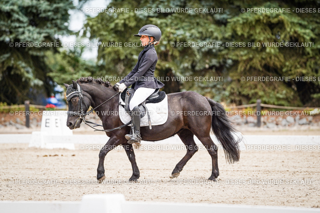 DSC02843 | Pferdegrafie