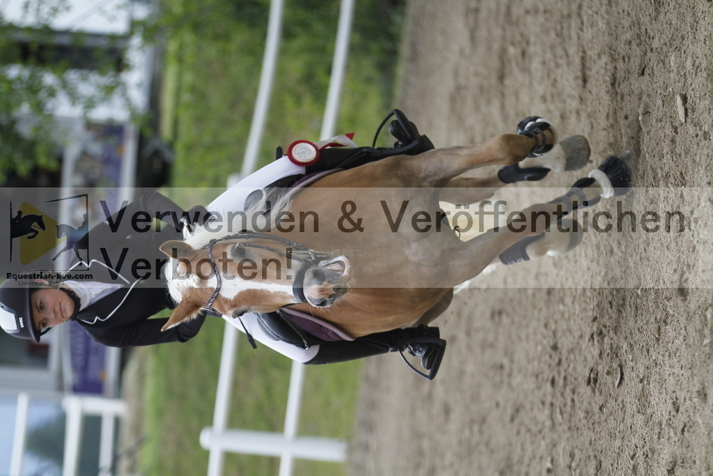 _MG_1255 | equestrian-live-com
