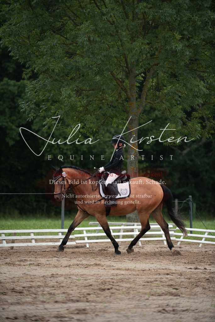 DSC_9868 | Pferde- und Turnierfotografie in Westsachsen. Pferdeportraits, Auftragszeichnungen und intuitive Kunst.
