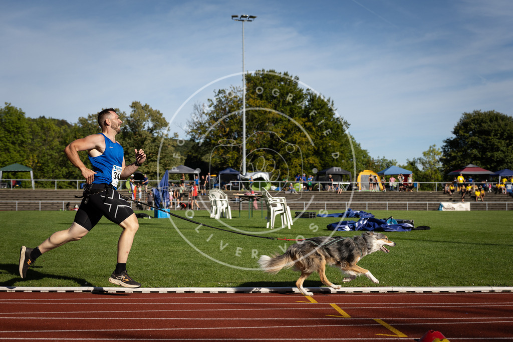Pfotenfotografie_DV3A9503 | Hundefotografie, Tierfotograf, Pfotenfotografie, Fotoshooting Hund, Hunde Portrait, Hundesport, Hundeportraits, Heideshooting, Hunde, Sportfotograf, Hundefotograf, Turnierhundsport, THS,  - Realisiert mit Pictrs.com