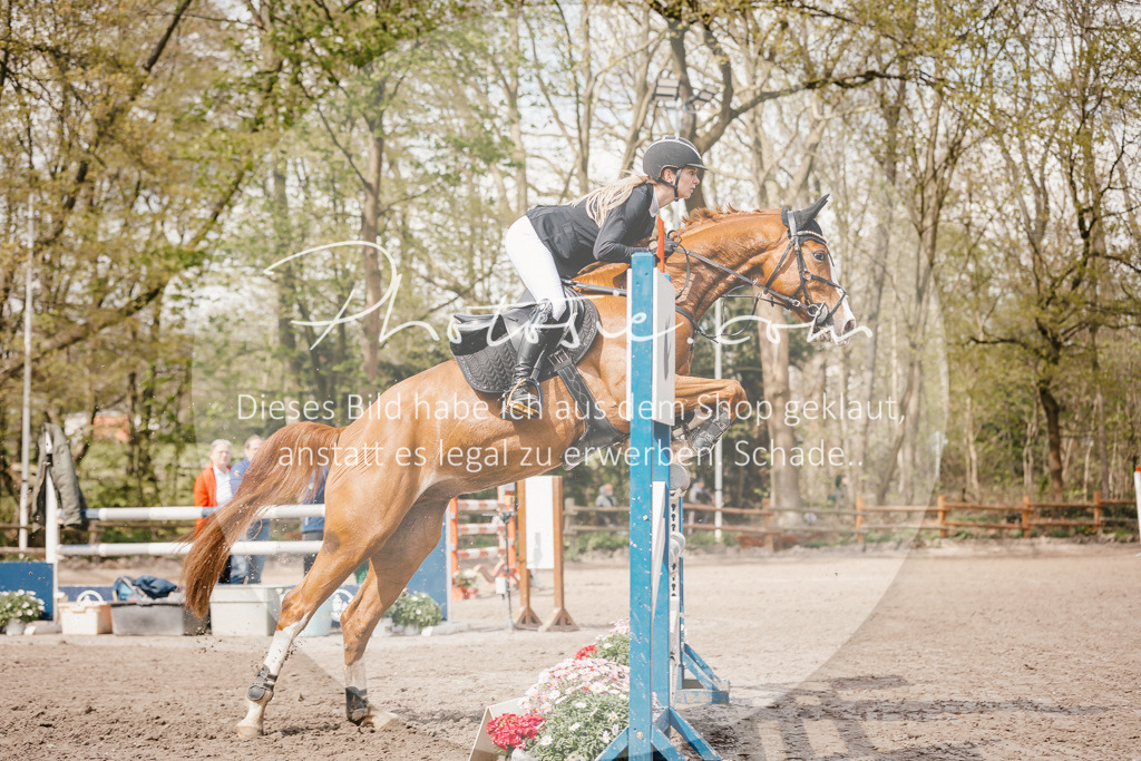 3I6A4362 | Stimmungsvolle Portraits und Reitsportfotografie im Ruhrgebiet und im Münsterland.

Pferdefotografie, Hundefotografie, Tierfotografie, Reportagen, Portraits von Tier und Mensch, Turnierfotografie in Bochum, Recklinghausen, Marl, Haltern am See, Dülmen.. - Realisiert mit Pictrs.com
