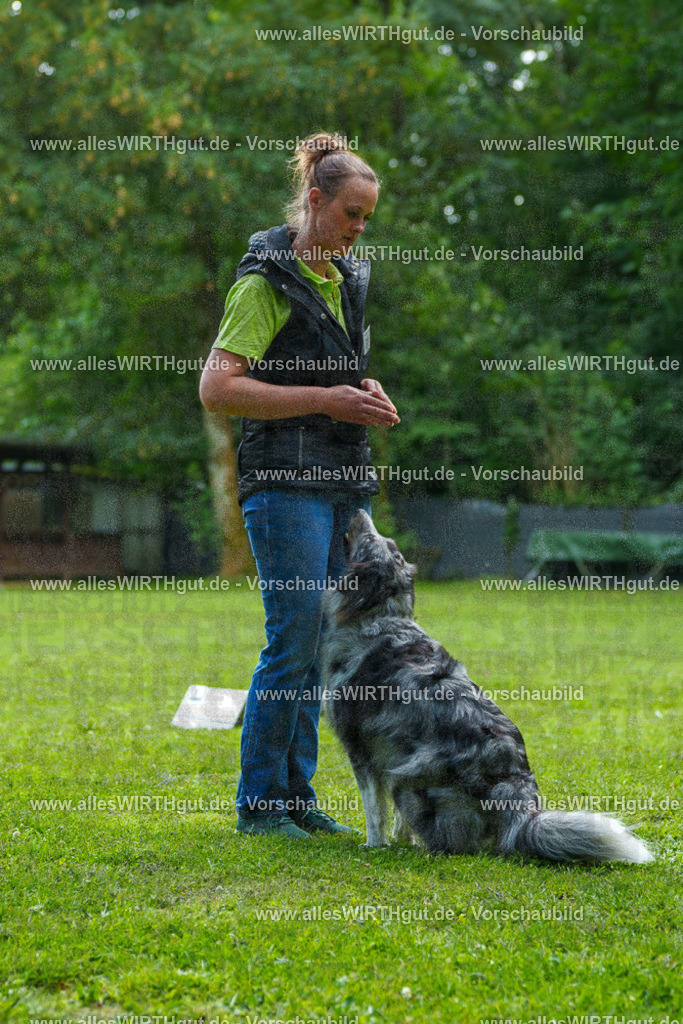 @allesWIRTHgut_Tierfotografie - www.allesWIRTHgut.de - 7R504779 | Professionelle Tierfotografie in Mönchengladbach von Daniel Wirth (allesWIRTHgut). Liebevolle & natürliche Bilder von Hunden & Katzen für unvergessliche Erinnerungen.